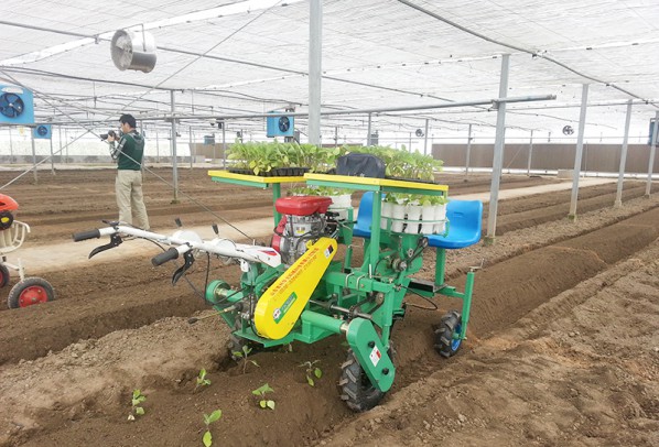 西红柿、甜菜、甘蓝移栽机